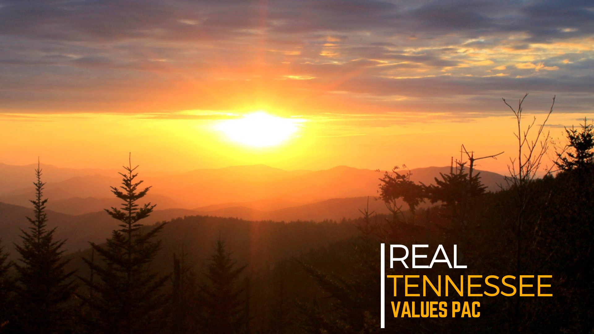Real Tennessee Values Real values.